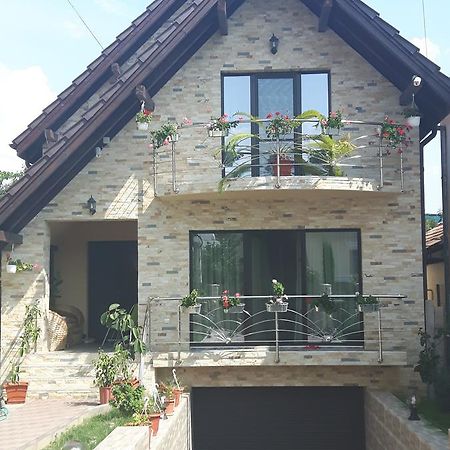 Vila Alexia Hotel Calimanesti Luaran gambar