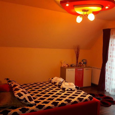 Vila Alexia Hotel Calimanesti Luaran gambar
