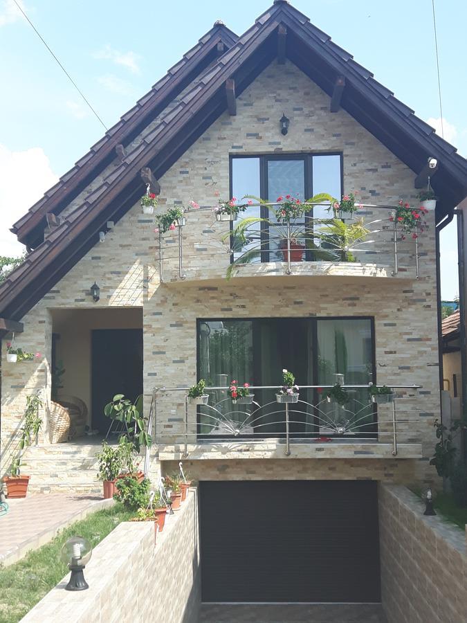 Vila Alexia Hotel Calimanesti Luaran gambar