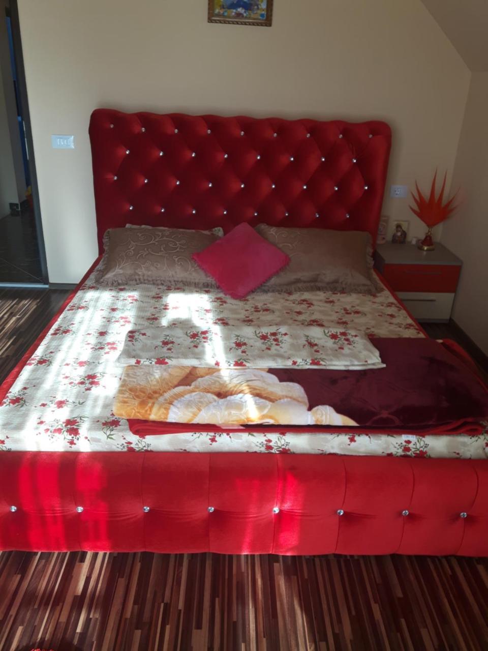 Vila Alexia Hotel Calimanesti Luaran gambar