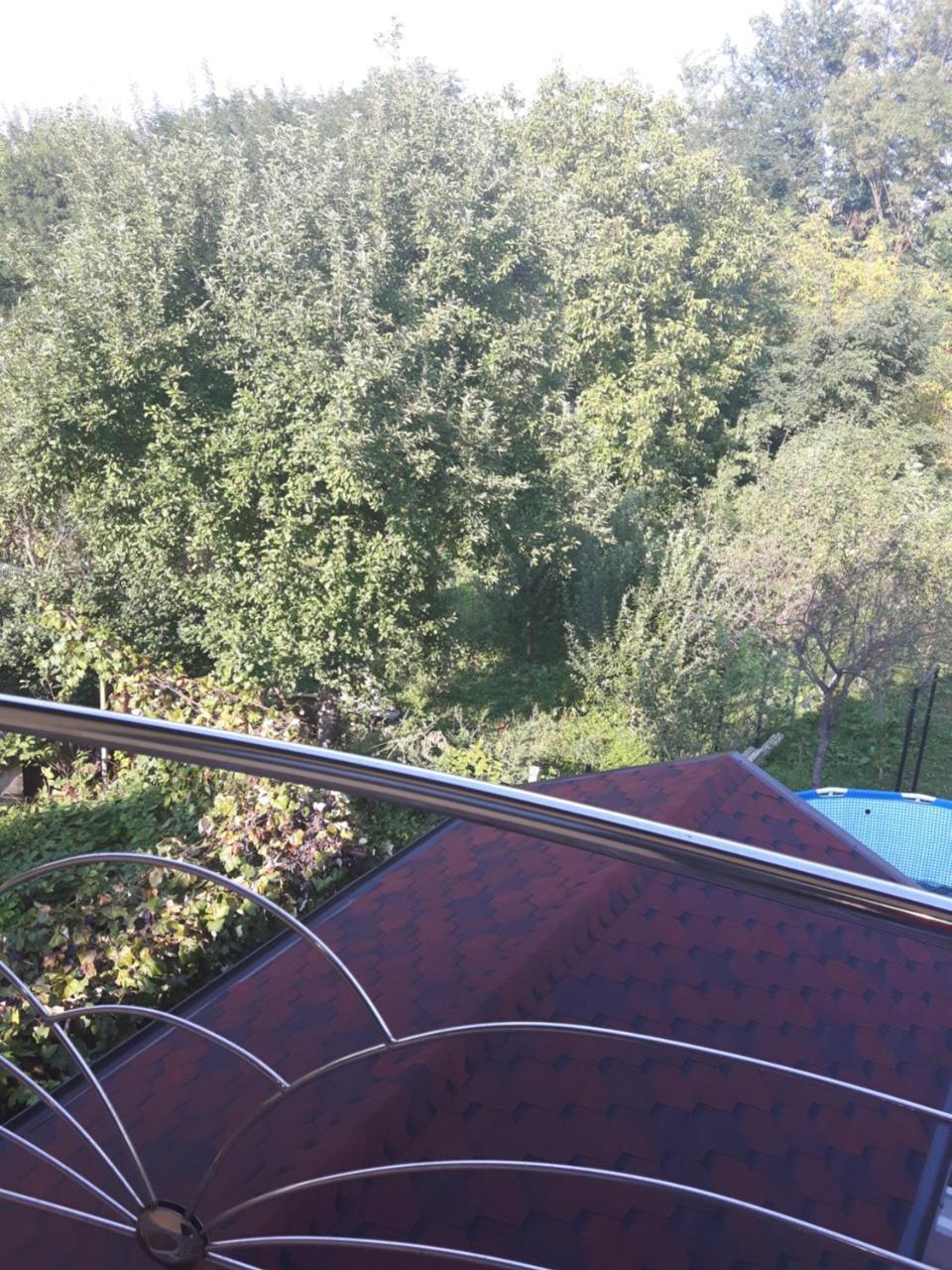 Vila Alexia Hotel Calimanesti Luaran gambar
