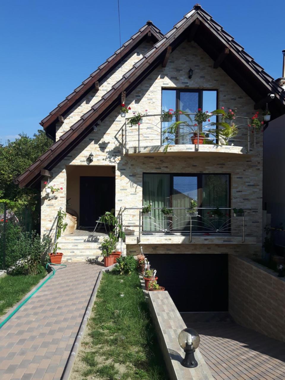 Vila Alexia Hotel Calimanesti Luaran gambar