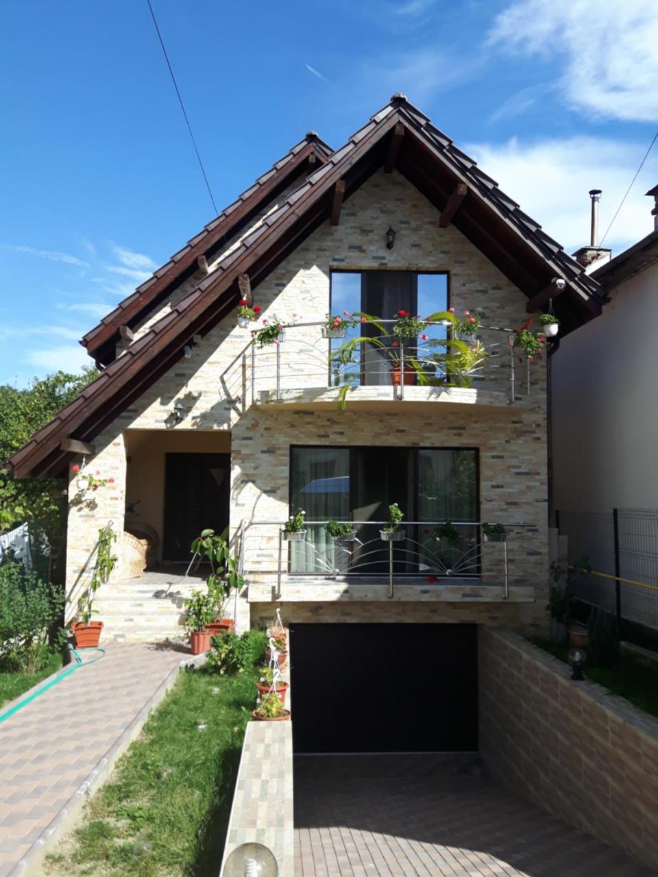 Vila Alexia Hotel Calimanesti Luaran gambar