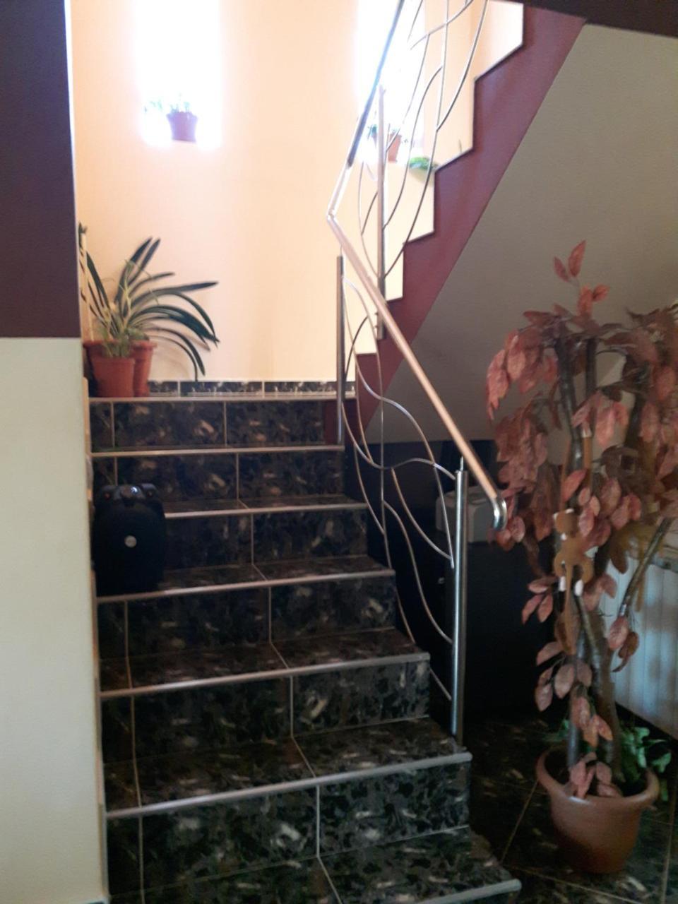 Vila Alexia Hotel Calimanesti Luaran gambar