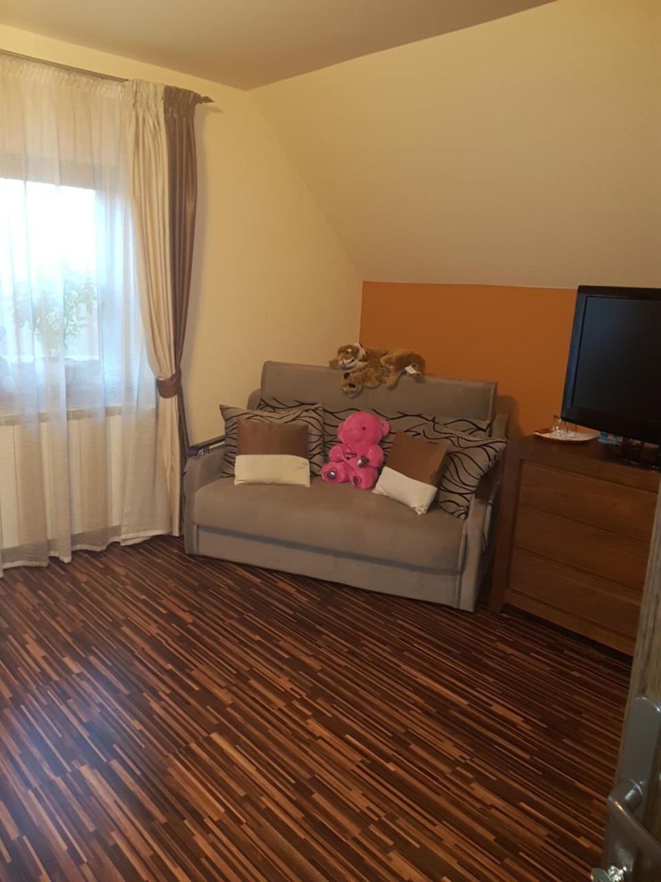 Vila Alexia Hotel Calimanesti Luaran gambar
