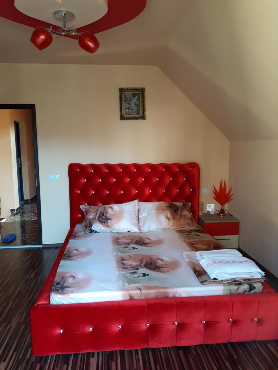 Vila Alexia Hotel Calimanesti Luaran gambar