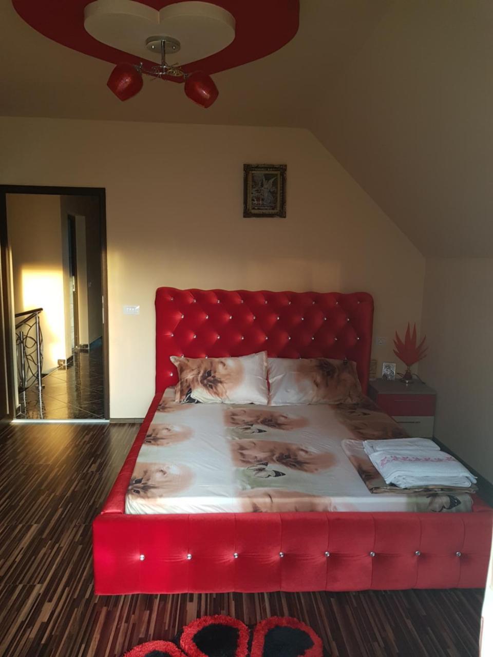 Vila Alexia Hotel Calimanesti Luaran gambar
