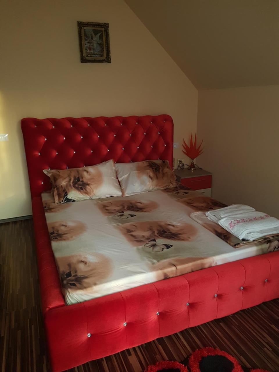 Vila Alexia Hotel Calimanesti Luaran gambar