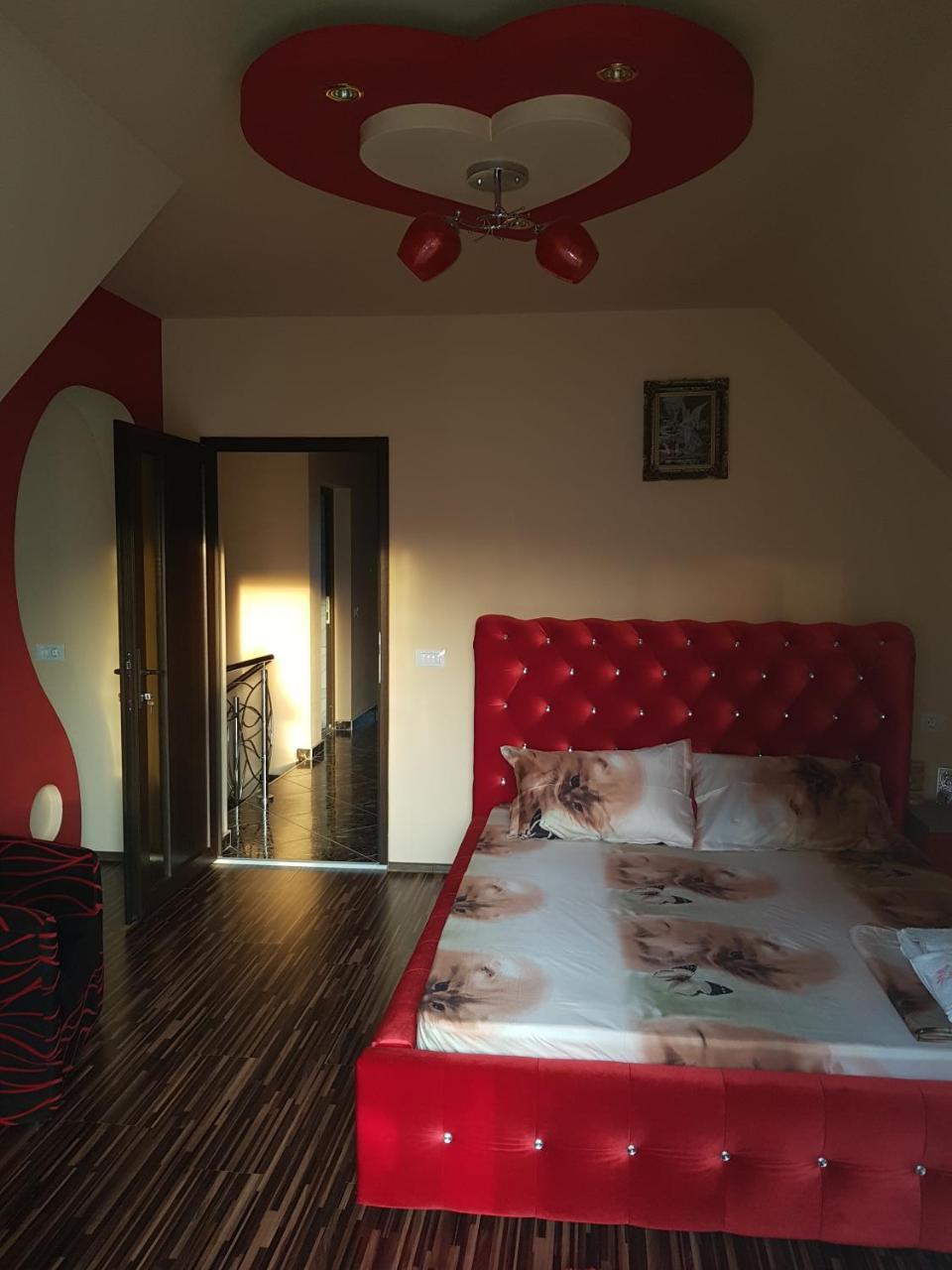 Vila Alexia Hotel Calimanesti Luaran gambar