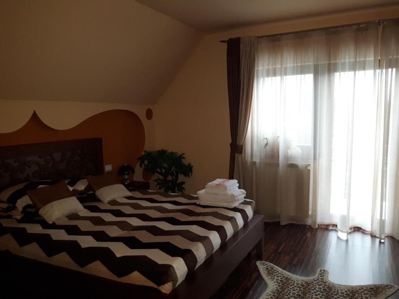 Vila Alexia Hotel Calimanesti Luaran gambar