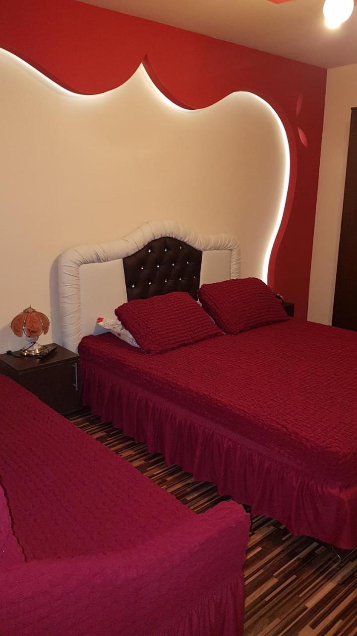 Vila Alexia Hotel Calimanesti Luaran gambar