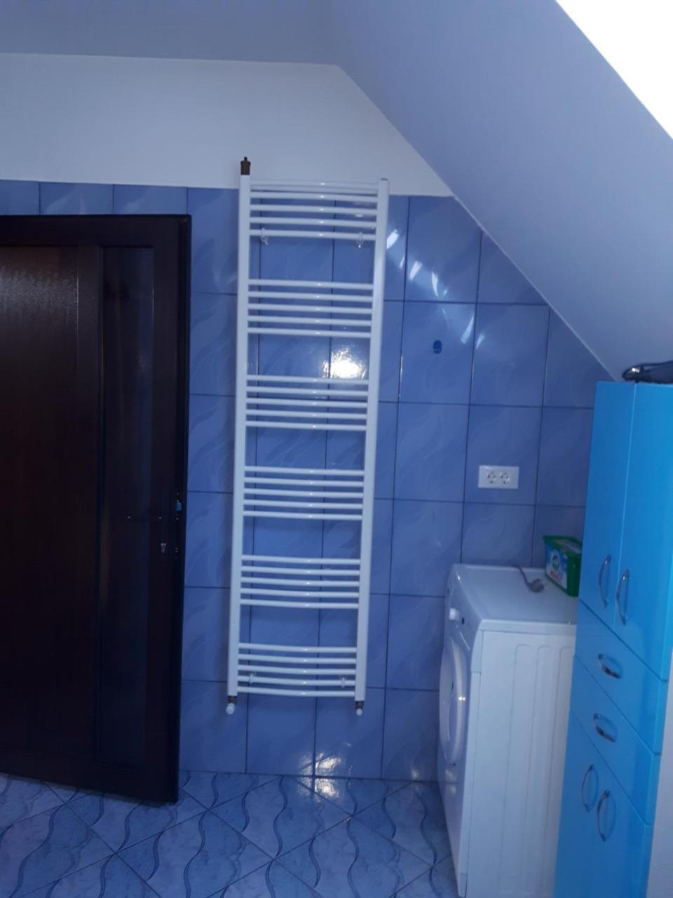 Vila Alexia Hotel Calimanesti Luaran gambar