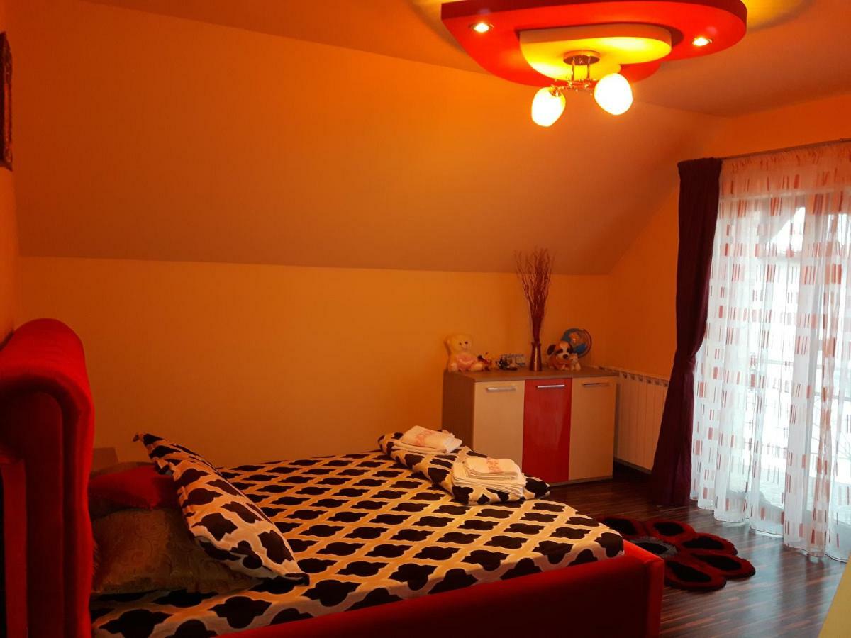 Vila Alexia Hotel Calimanesti Luaran gambar